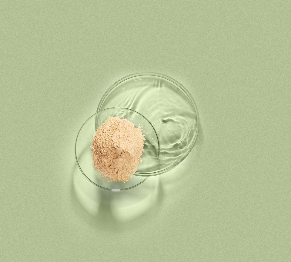 й88858cc(ɷ)޹˾-ٷվ